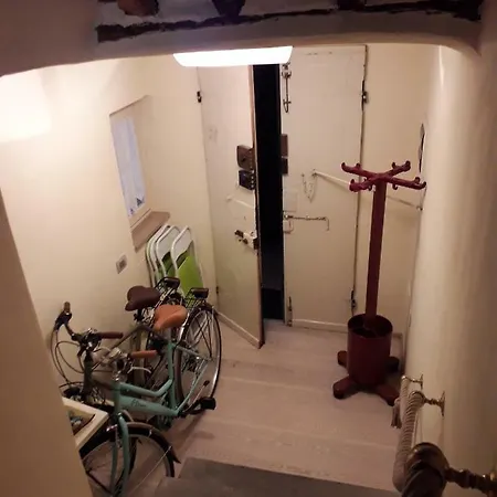 Viola Apartman